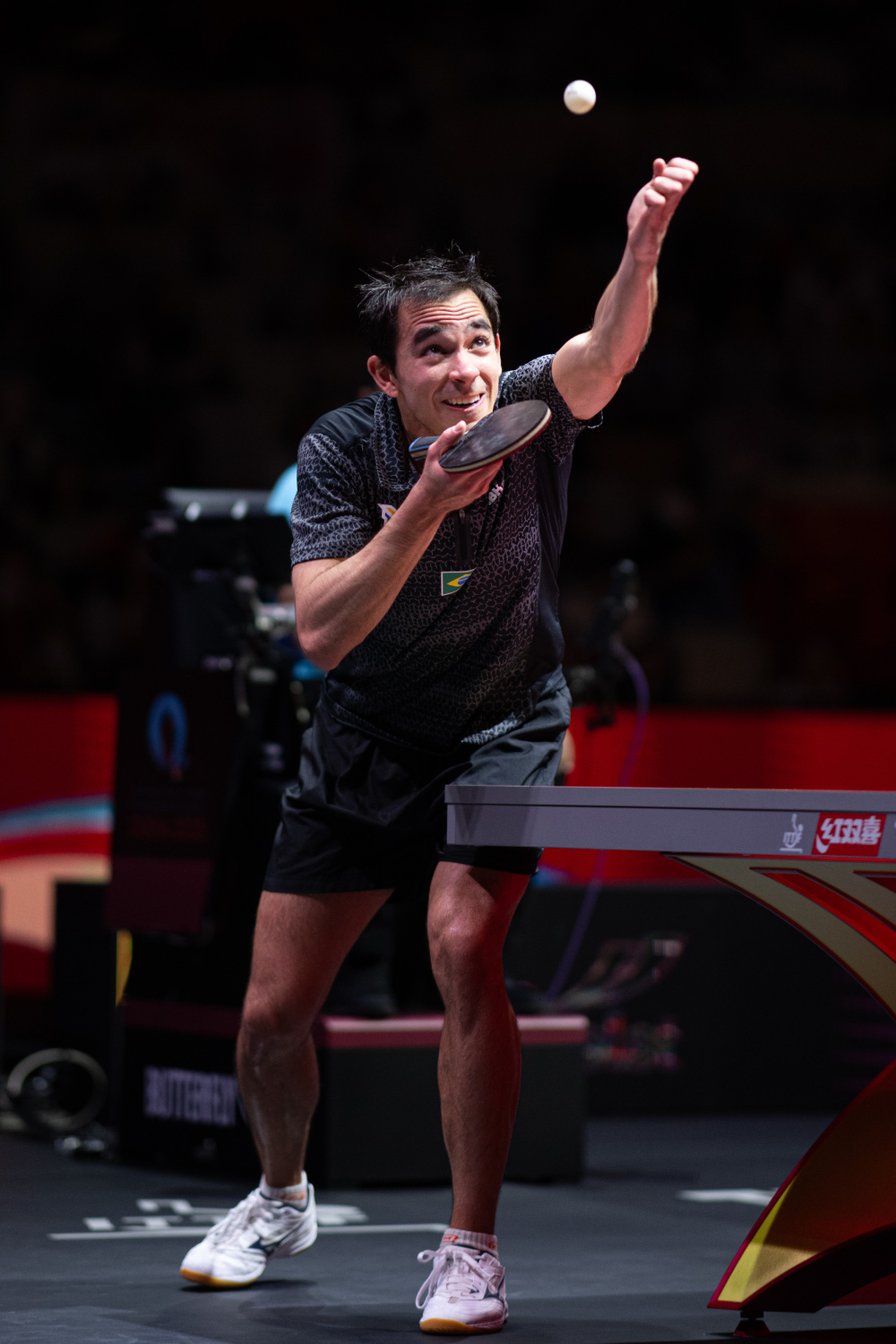 率标题和关 率标题和关